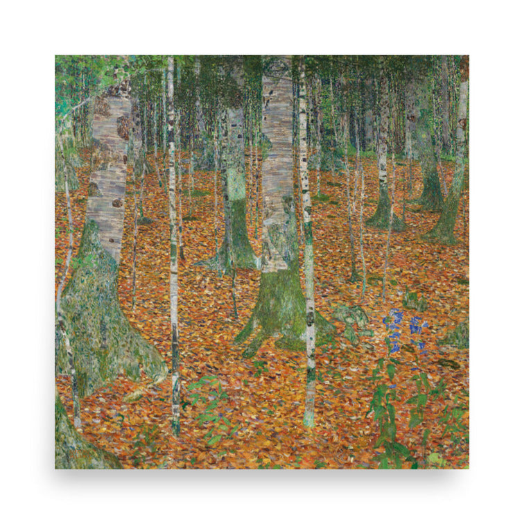 Poster - Gustav Klimt, Birkenwald ohne Rahmen / 36x36 cm artlia