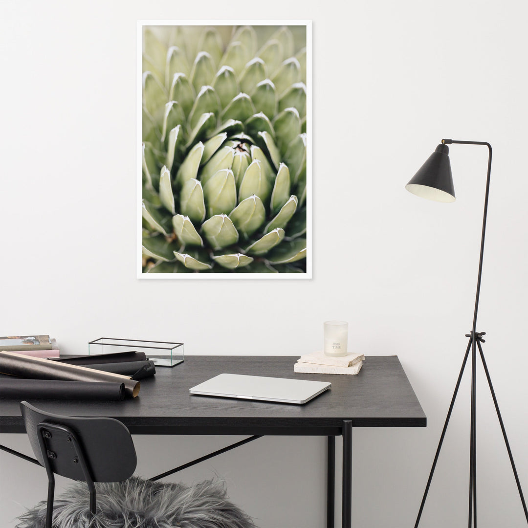 Poster - Cactus Flower II artlia