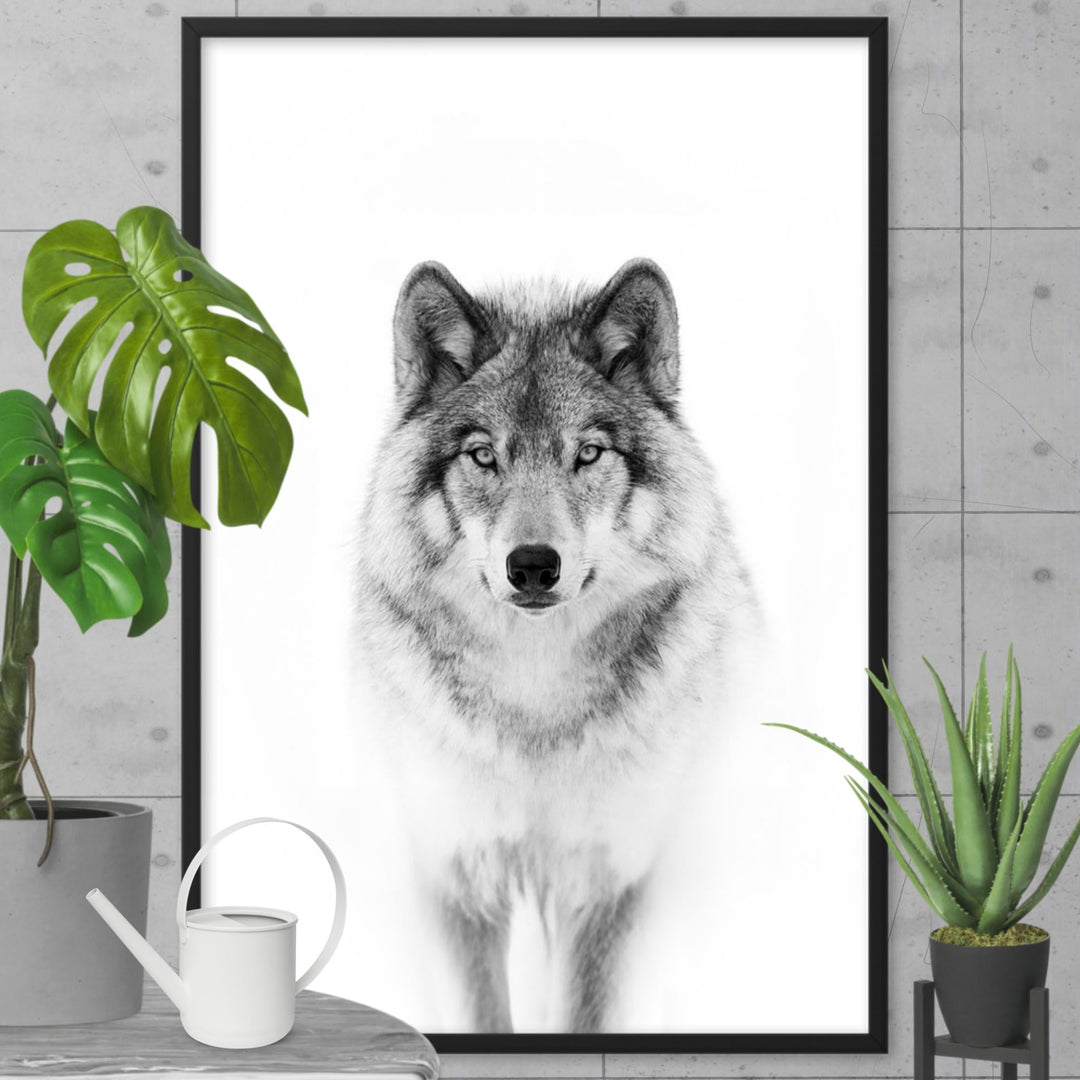 Poster - Calm Wolf artlia