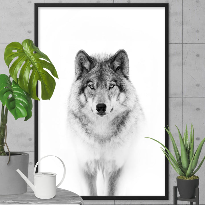Poster - Calm Wolf artlia