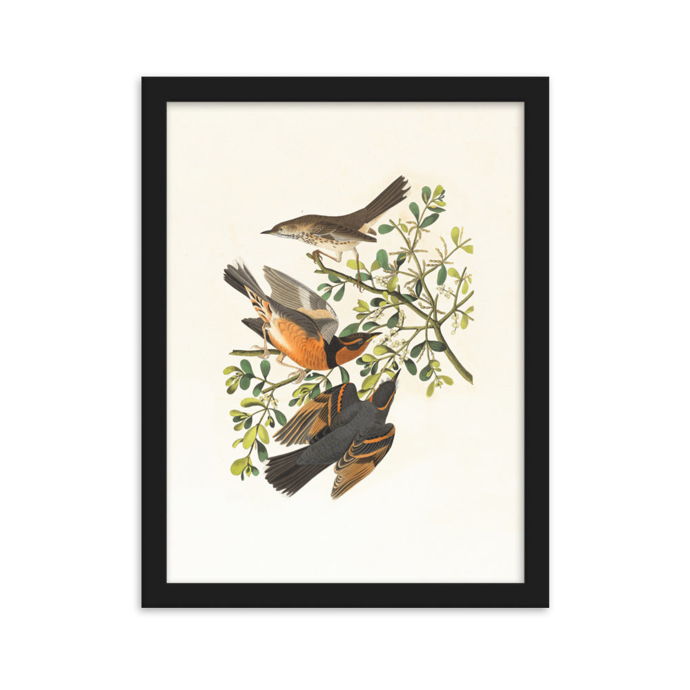 Poster - Drei Vögel auf Ästen Schwarz / 30×40 cm artlia