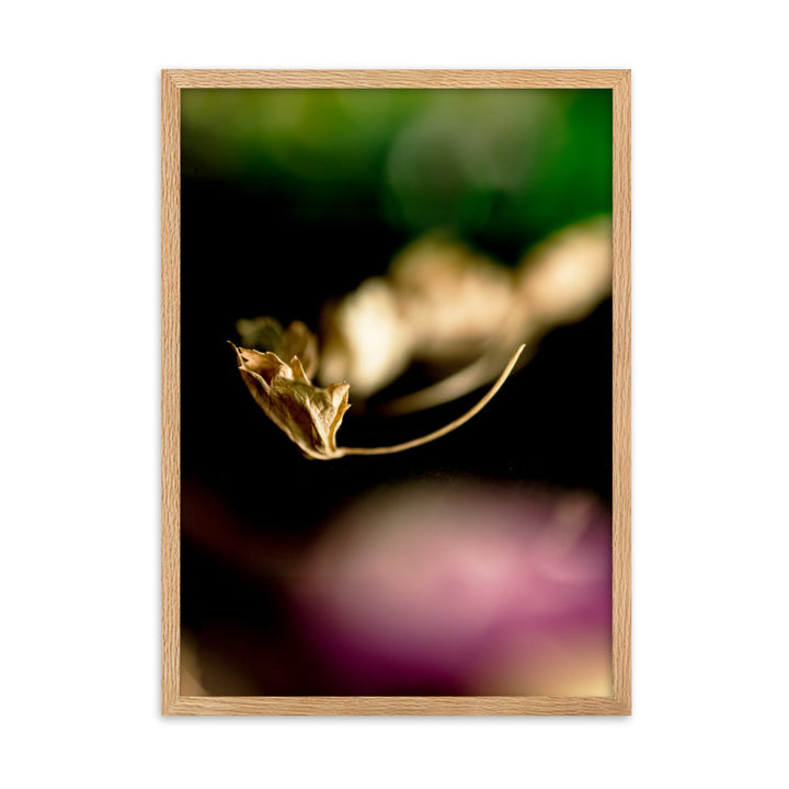 Poster - Falling Leaf Oak / 50×70 cm artlia