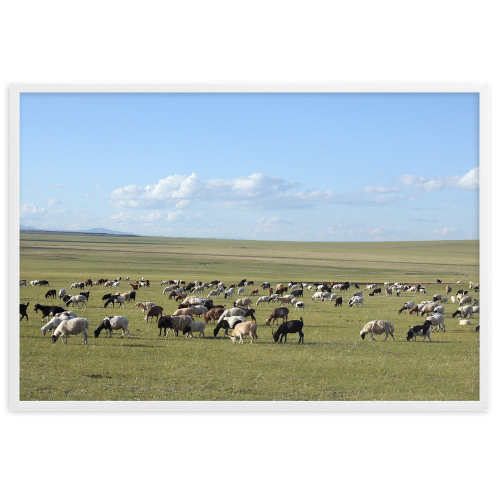 Poster - Herd of sheep graze in Mongolian steppe artlia