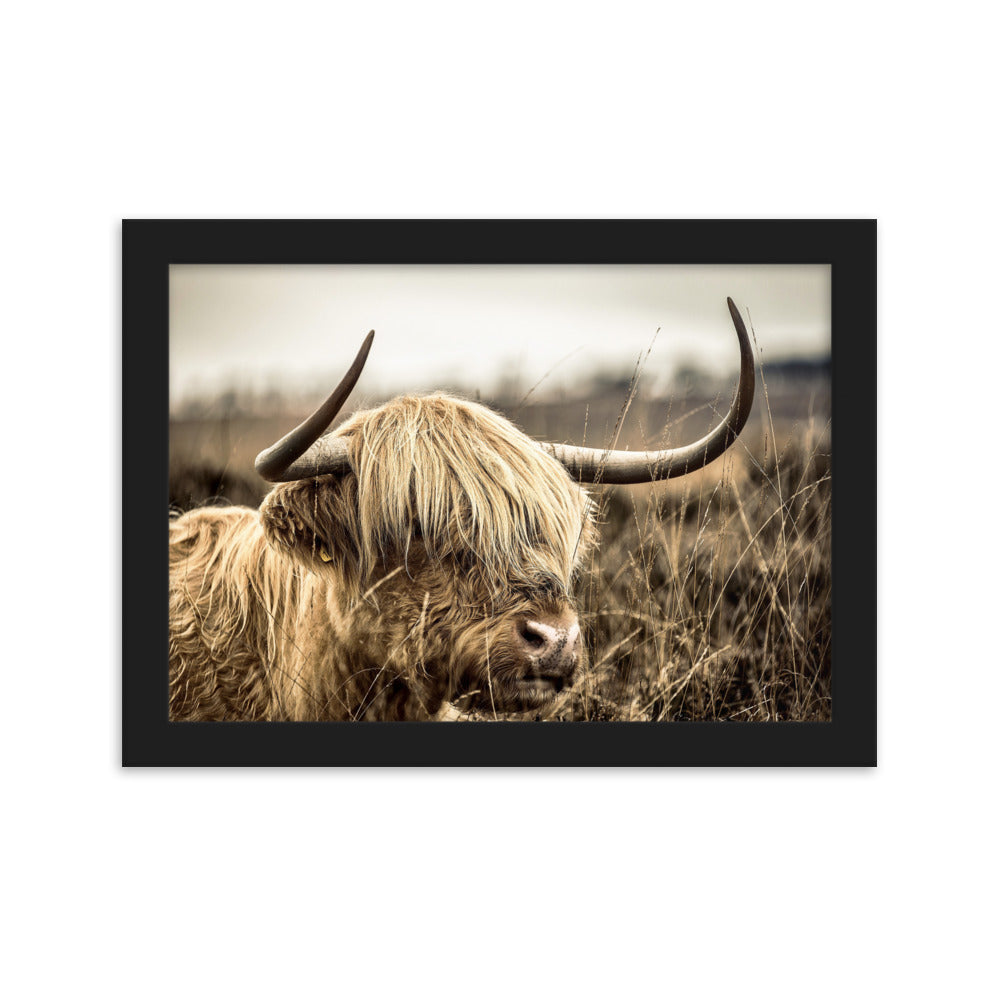 Poster - Highland Cattle Retro Schwarz / 21×30 cm artlia