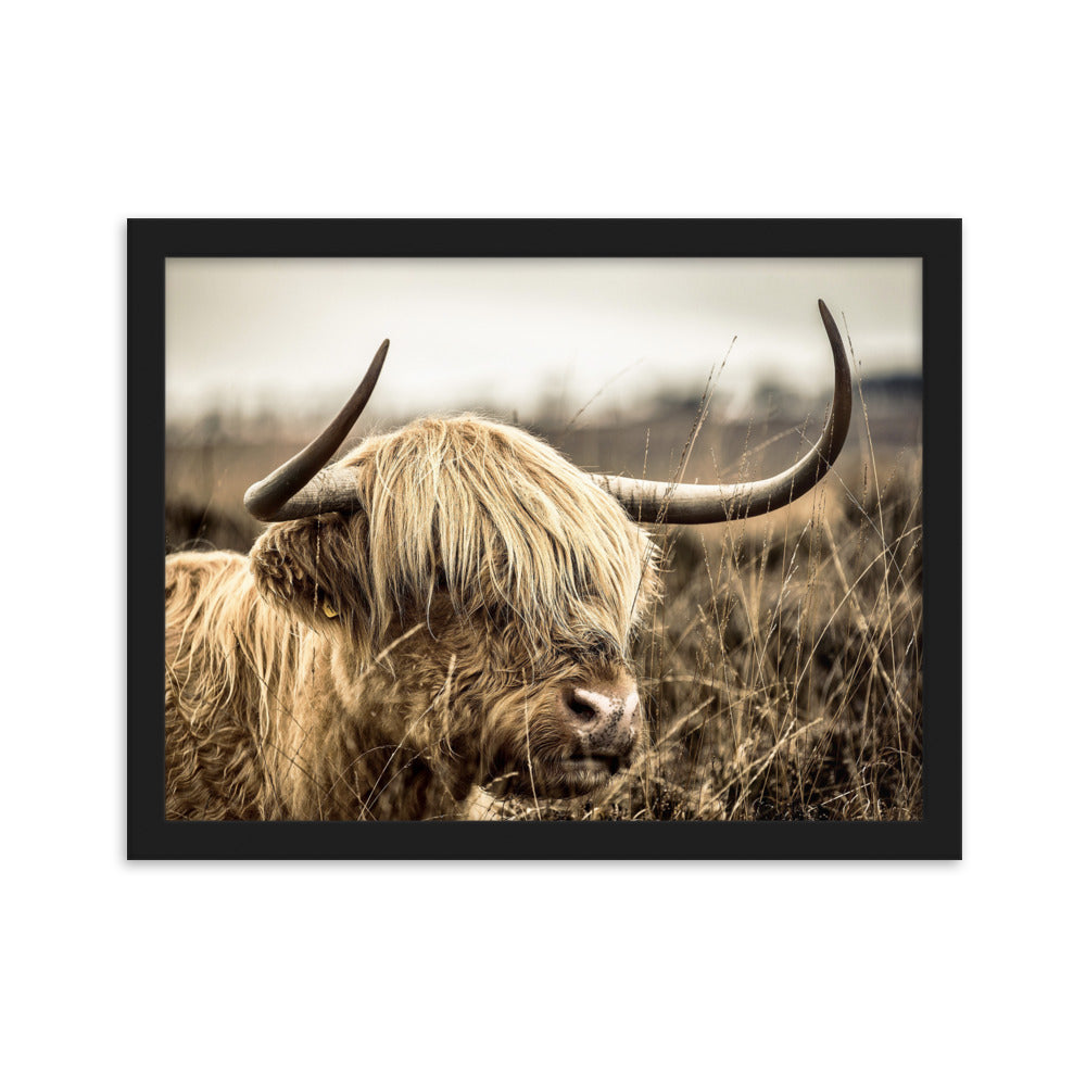 Poster - Highland Cattle Retro Schwarz / 30×40 cm artlia