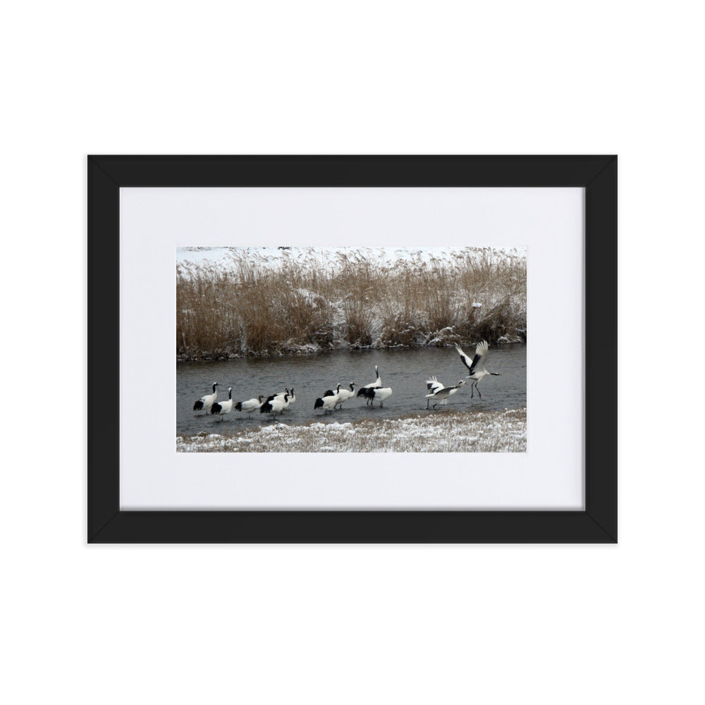 Poster mit Passepartout - Kraniche in Hantangang Schwarz / 21×30 cm artlia