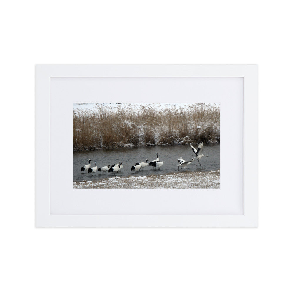 Poster mit Passepartout - Kraniche in Hantangang Weiß / 21×30 cm artlia