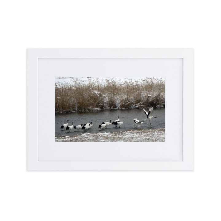 Poster mit Passepartout - Kraniche in Hantangang Weiß / 21×30 cm artlia