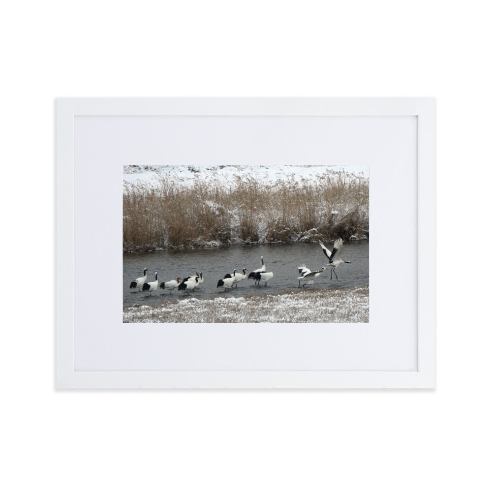 Poster mit Passepartout - Kraniche in Hantangang Weiß / 30×40 cm artlia