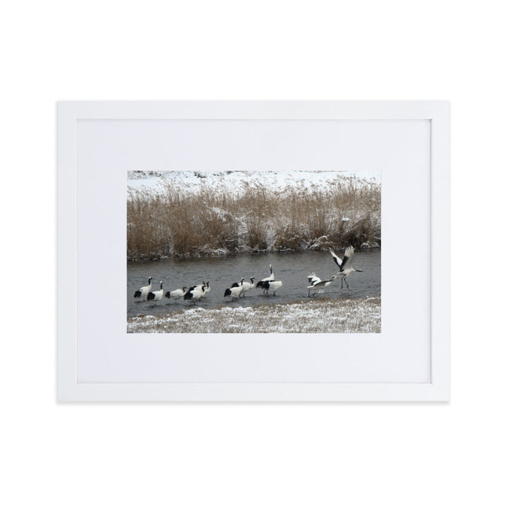 Poster mit Passepartout - Kraniche in Hantangang Weiß / 30×40 cm artlia