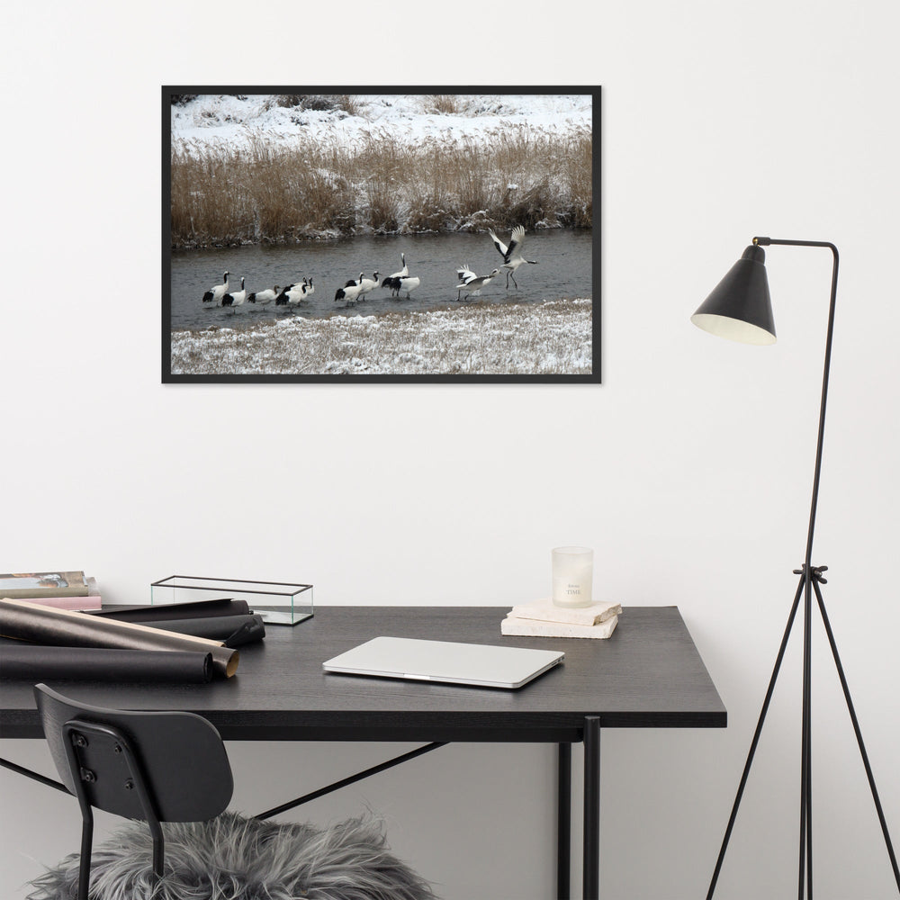 Poster mit Rahmen - Kraniche in Hantangang artlia