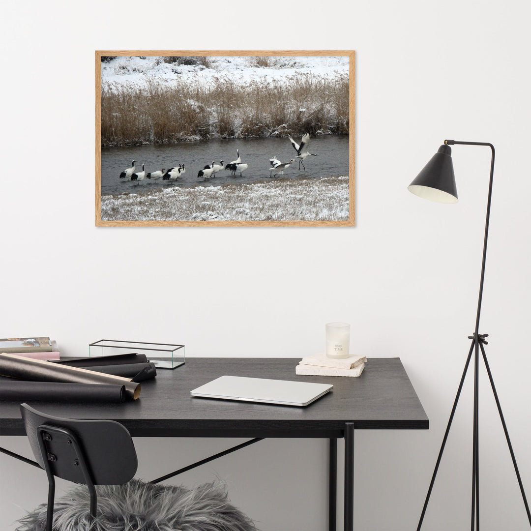 Poster mit Rahmen - Kraniche in Hantangang artlia