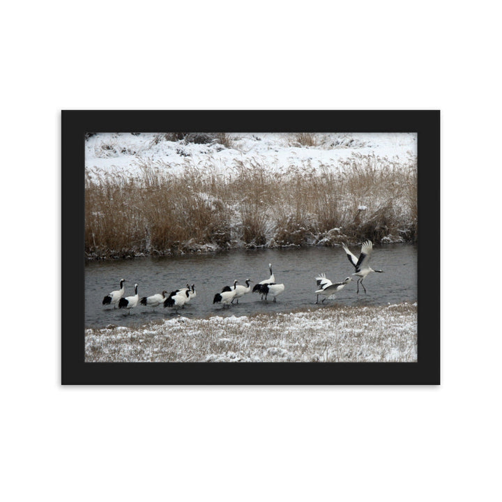 Poster mit Rahmen - Kraniche in Hantangang Schwarz / 21×30 cm artlia