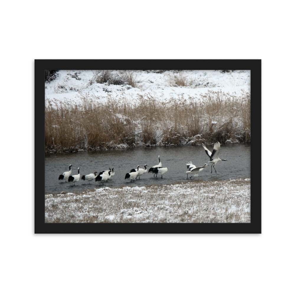 Poster mit Rahmen - Kraniche in Hantangang Schwarz / 30×40 cm artlia