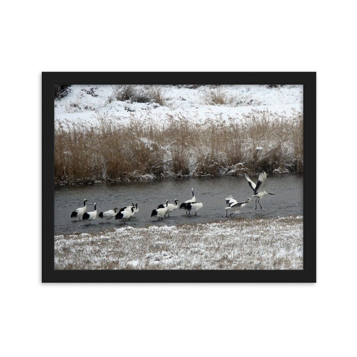 Poster mit Rahmen - Kraniche in Hantangang Schwarz / 30×40 cm artlia