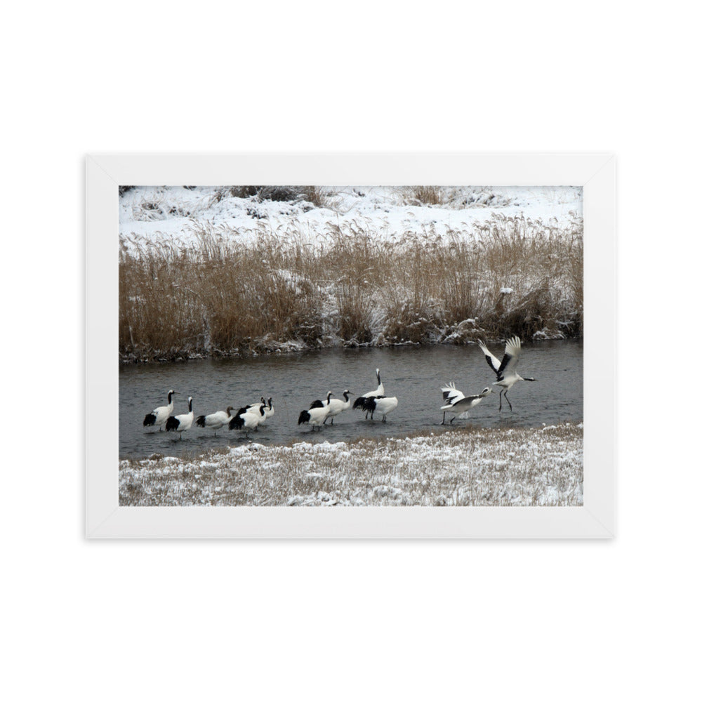 Poster mit Rahmen - Kraniche in Hantangang Weiß / 21×30 cm artlia