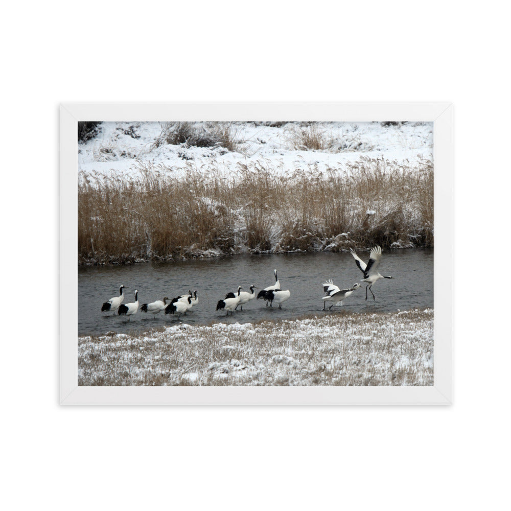 Poster mit Rahmen - Kraniche in Hantangang Weiß / 30×40 cm artlia