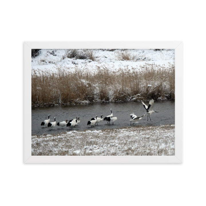 Poster mit Rahmen - Kraniche in Hantangang Weiß / 30×40 cm artlia