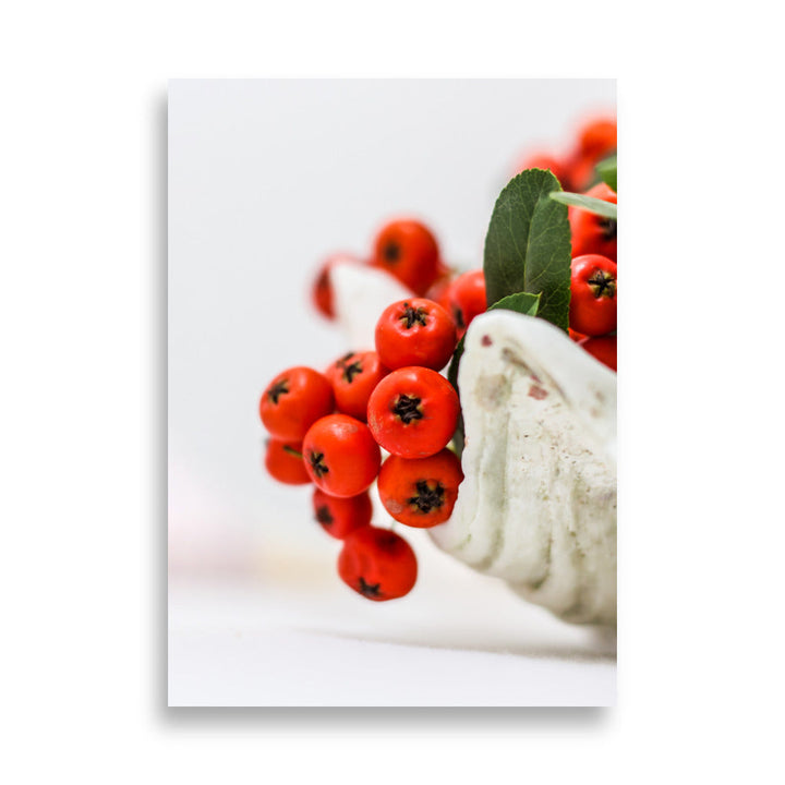 Poster - Red Berries 50×70 cm artlia
