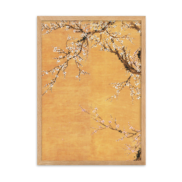 Poster - Rote und weiße Pflaumenblüten Oak / Teil 1 / 50×70 cm artlia