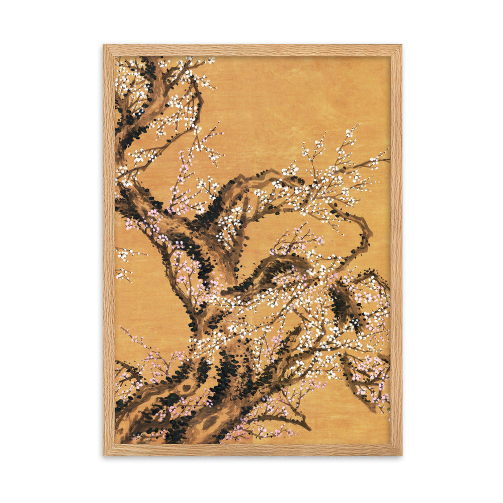 Poster - Rote und weiße Pflaumenblüten Oak / Teil 2 / 50×70 cm artlia