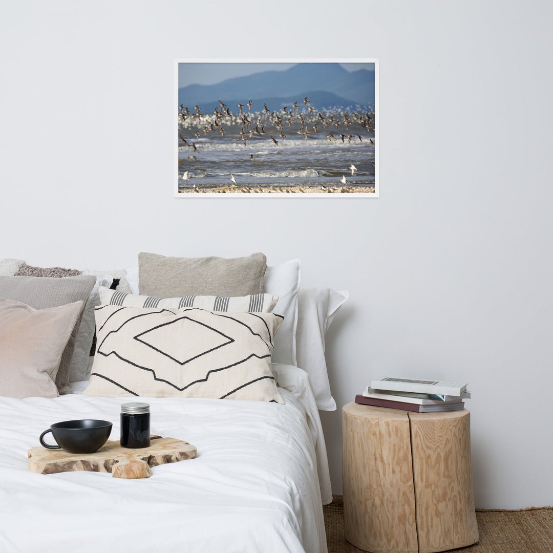 Poster - Shorebirds artlia