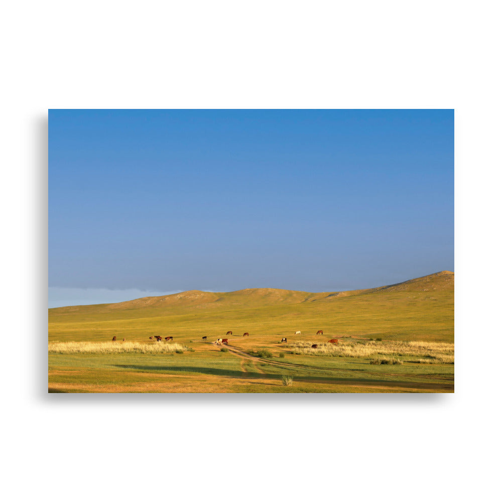 Poster - Steppe on a calm morning, Mongolia 21×30 cm artlia