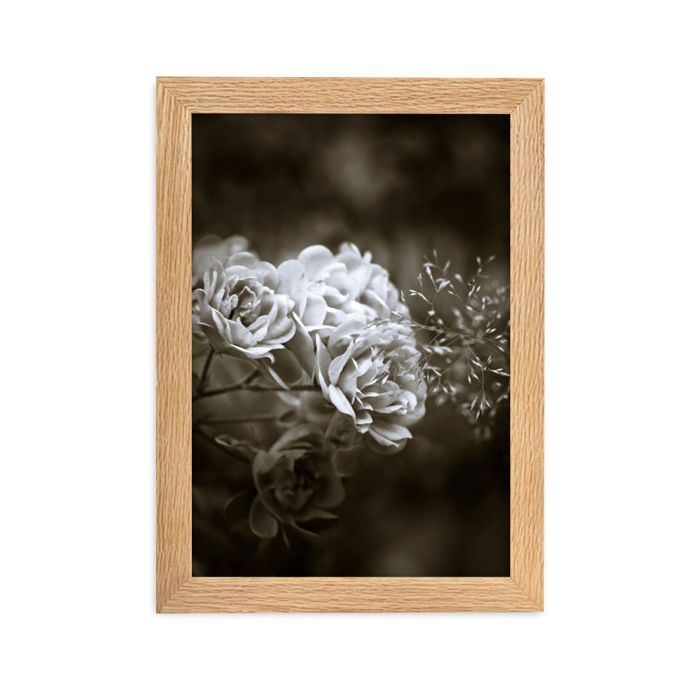 Poster - Weiße Pfingstrosen Oak / 21×30 cm artlia