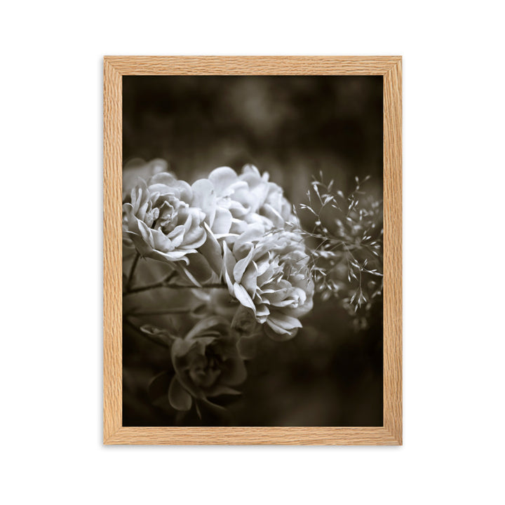 Poster - Weiße Pfingstrosen Oak / 30×40 cm artlia