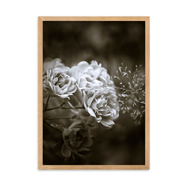 Poster - Weiße Pfingstrosen Oak / 50×70 cm artlia