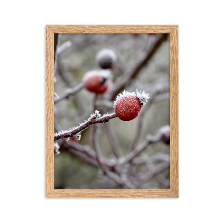 Poster - Winterbeeren II Oak / 30×40 cm artlia