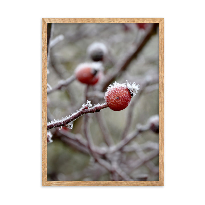 Poster - Winterbeeren II Oak / 50×70 cm artlia