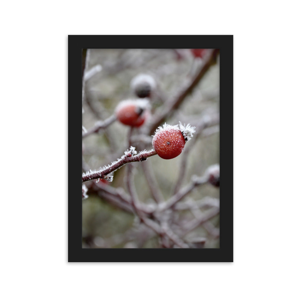 Poster - Winterbeeren II Schwarz / 21×30 cm artlia