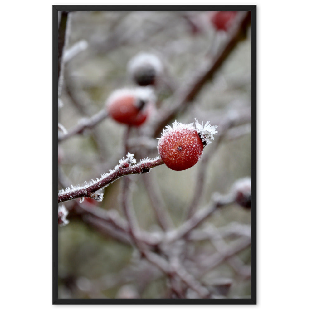 Poster - Winterbeeren II Schwarz / 61×91 cm artlia