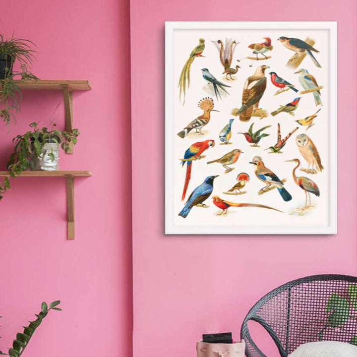 22 Vogelarten - Poster artlia
