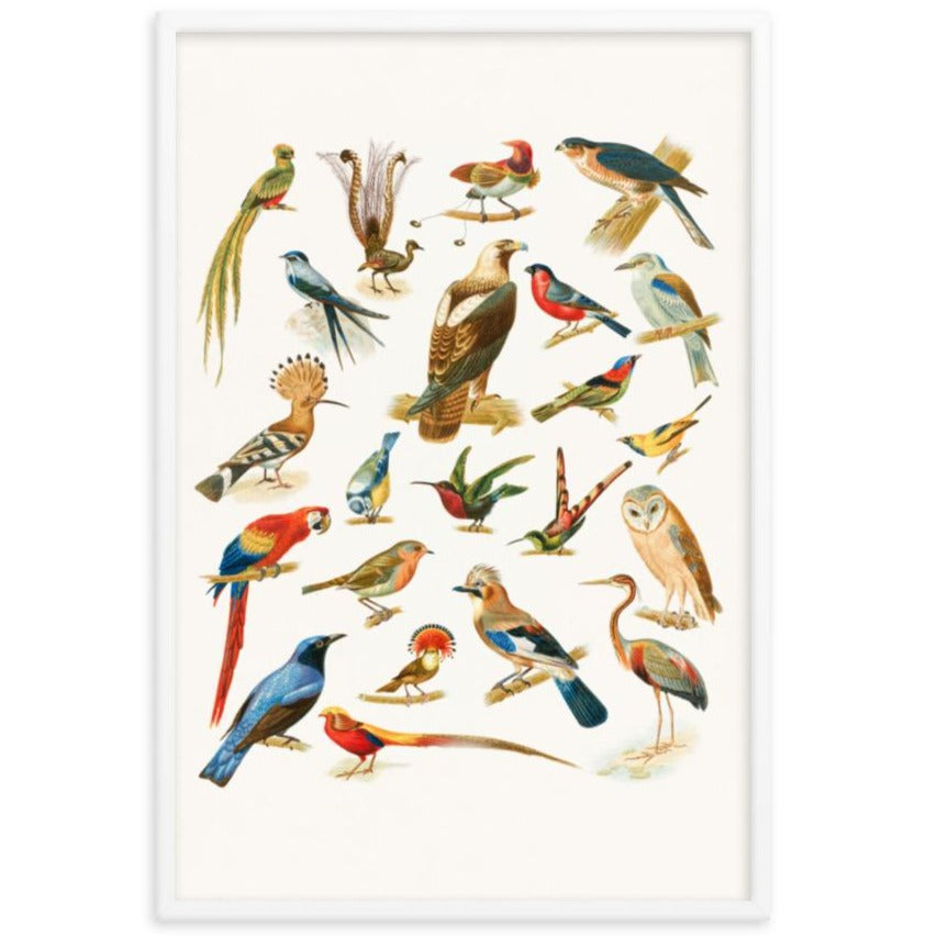 22 Vogelarten - Poster artlia