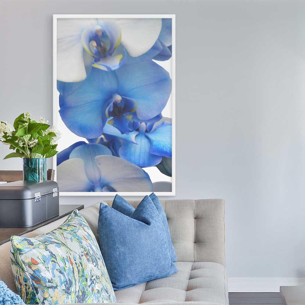 Blue Orchid - Poster artlia