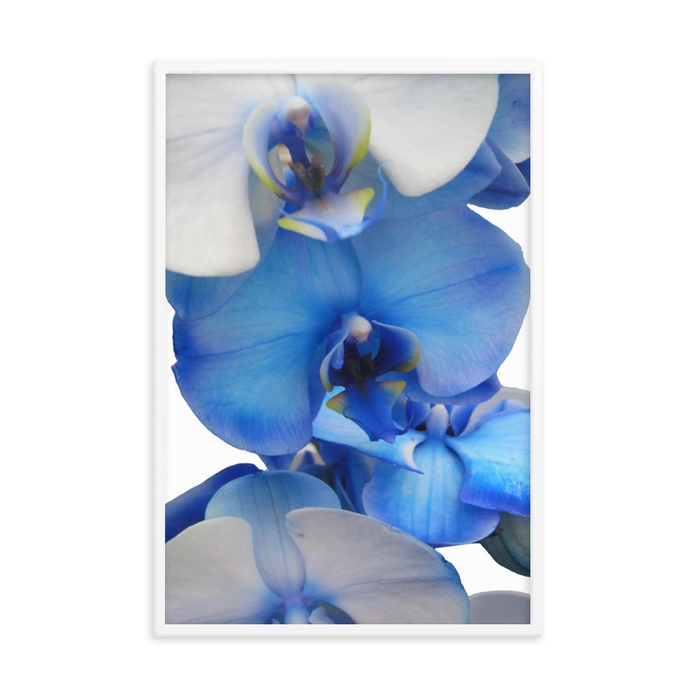 Blue Orchid - Poster artlia
