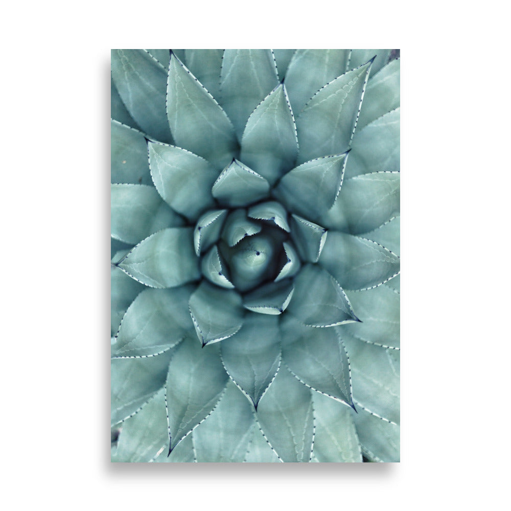 Blumenkaktus - Poster 21×30 cm artlia