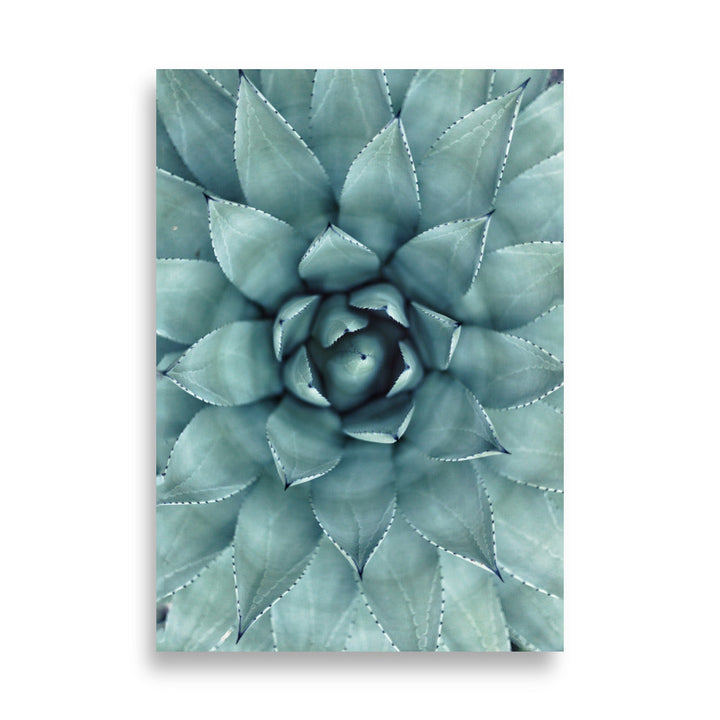 Blumenkaktus - Poster 21×30 cm artlia