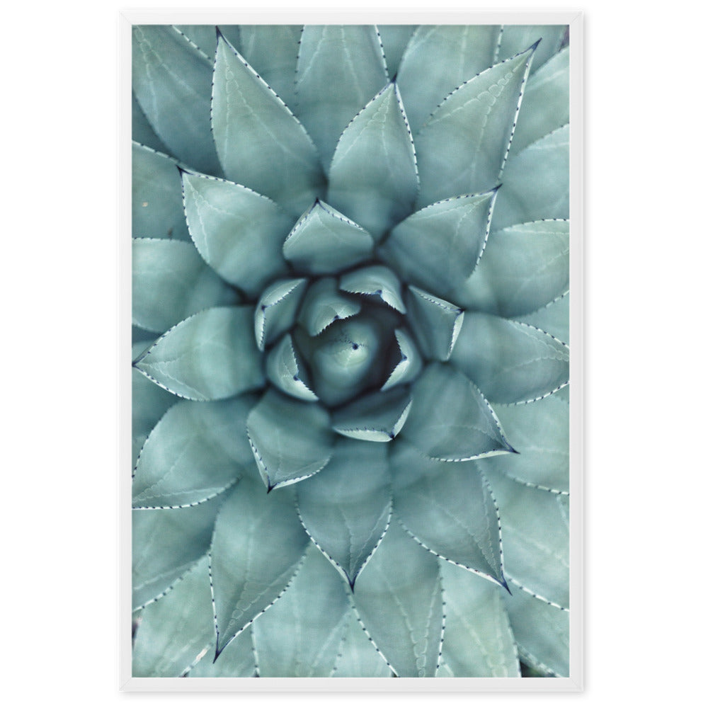 Blumenkaktus - Poster artlia