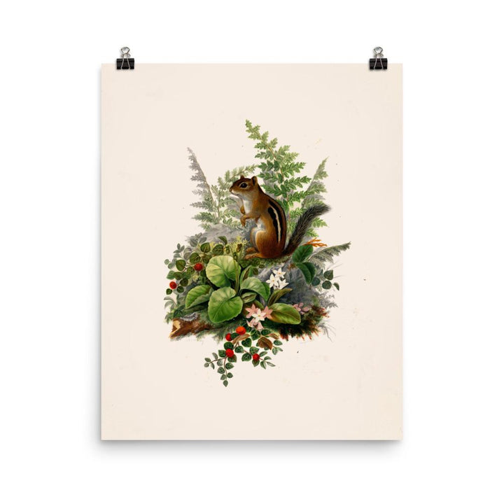 Eichhörnchen - Poster 20x25 cm artlia