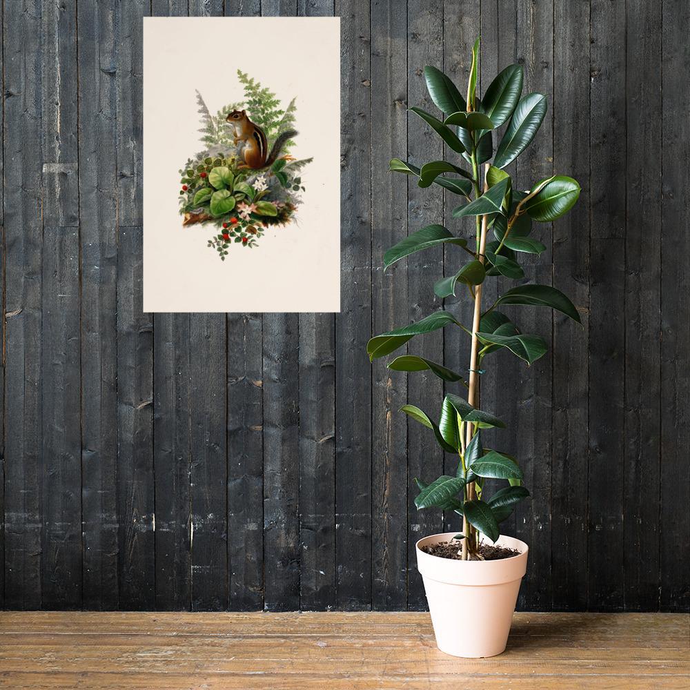 Eichhörnchen - Poster artlia