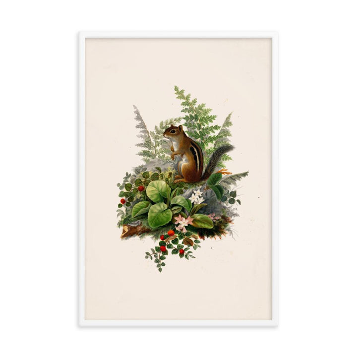 Eichhörnchen - Poster artlia