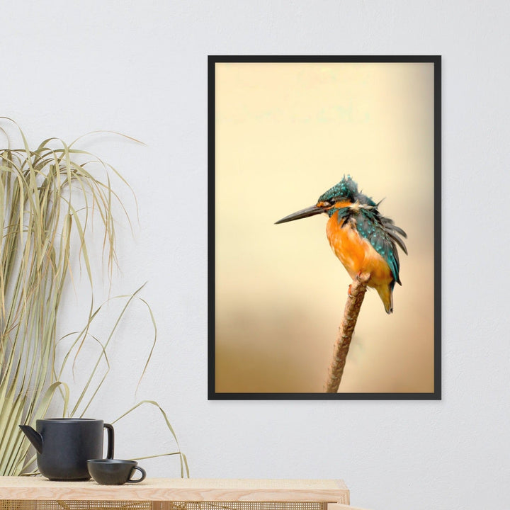 Eisvogel - Poster artlia