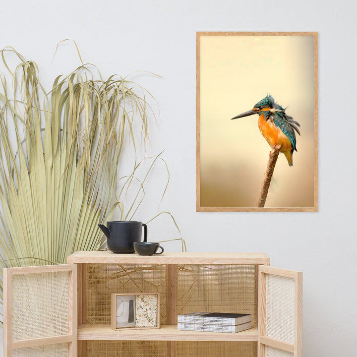 Eisvogel - Poster artlia