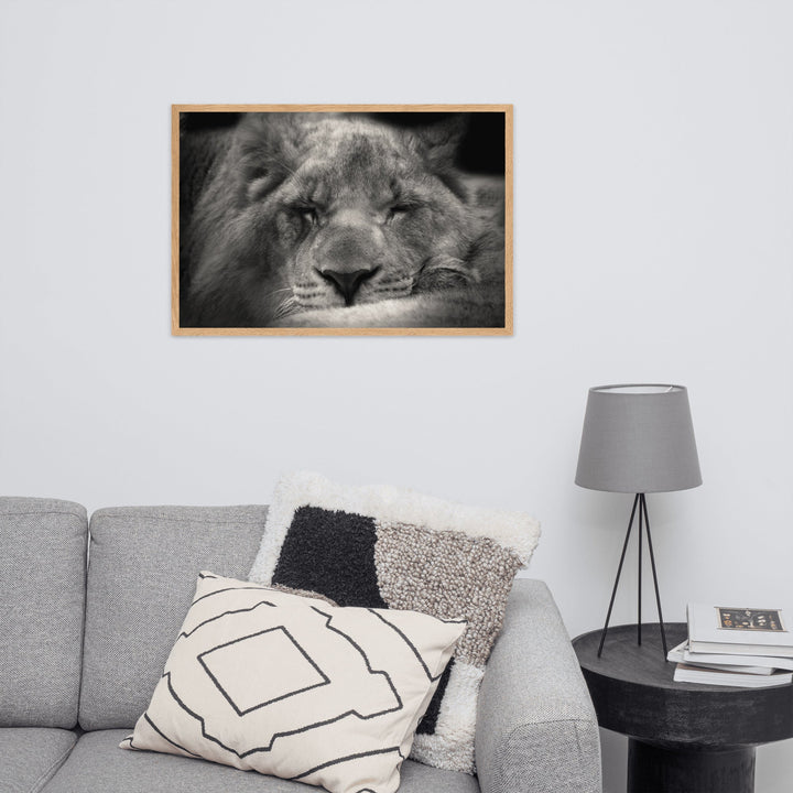 Entspannter Löwin - Poster artlia
