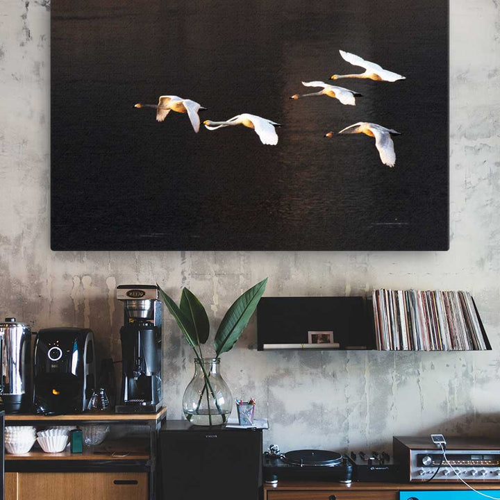 Fliegende Schwäne - Leinwand artlia