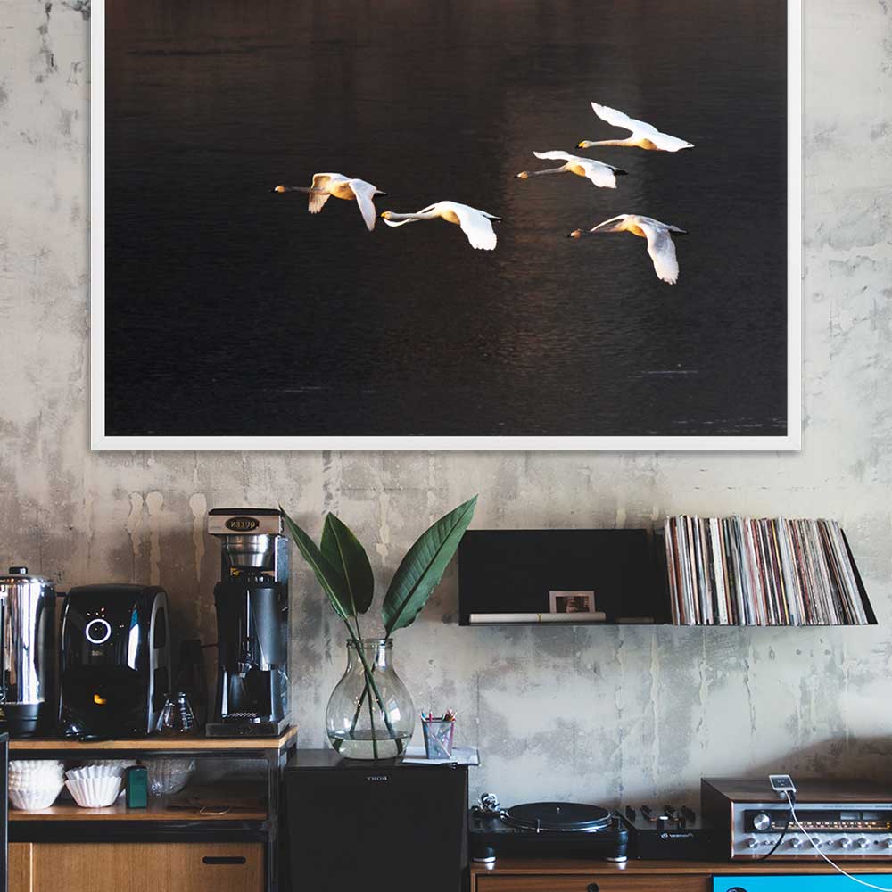 Fliegende Schwäne - Poster im Rahmen artlia