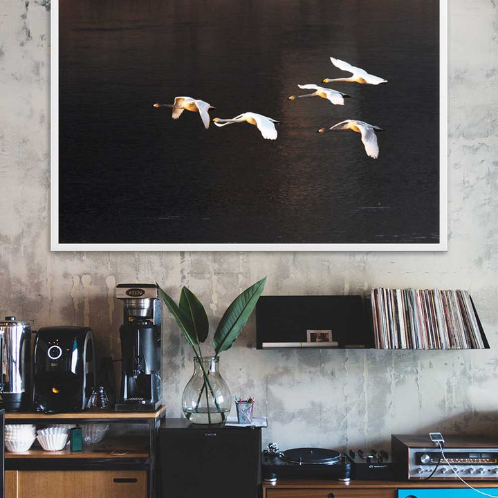 Fliegende Schwäne - Poster im Rahmen artlia